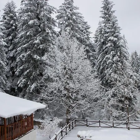 Hotel Victoria - Free Parking Borovets