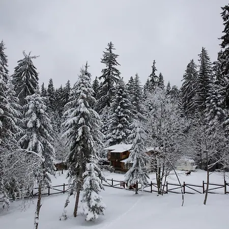 виктория - безплатен паркинг 3*